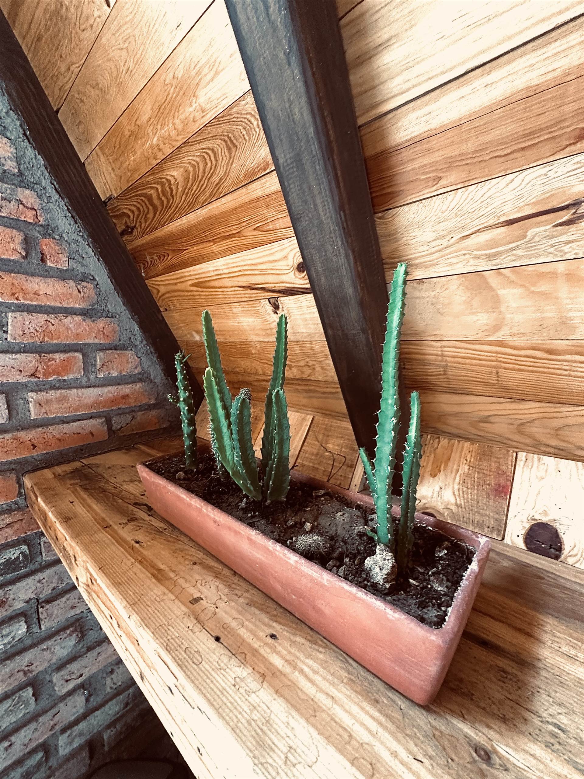 Caba&ntilde;a